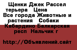 Щенки Джек Рассел терьера › Цена ­ 20 000 - Все города Животные и растения » Собаки   . Кабардино-Балкарская респ.,Нальчик г.